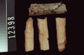Image representing Prepared Material.