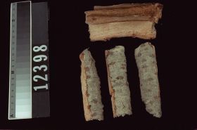 Image representing Prepared Material.