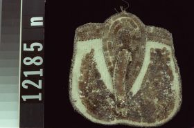 Image representing Purse.
