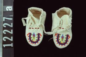 Image representing Moccasin.