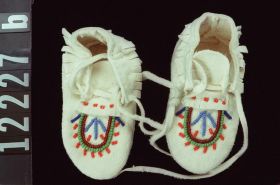 Image representing Moccasin.