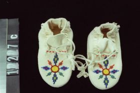 Image representing Moccasin.