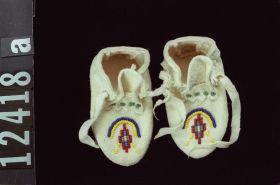 Image representing Moccasin.
