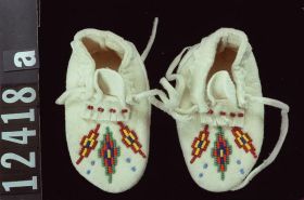 Image representing Moccasin.