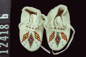 Image representing Moccasin.