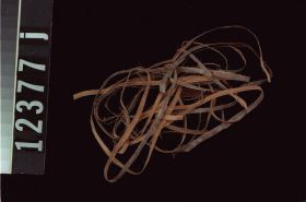 Image representing Prepared Material.