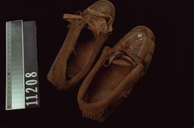 Image representing Moccasin.