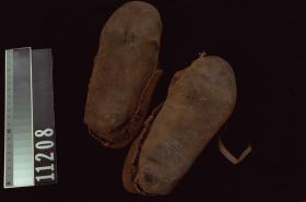 Image representing Moccasin.