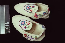 Image representing Moccasin.