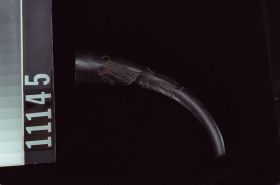 Image representing Horn.
