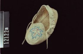 Image representing Moccasin.