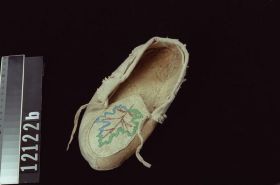 Image representing Moccasin.