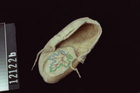 Image representing Moccasin.