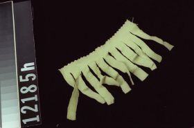 Image representing Fringe.