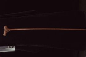 Image representing Cane.