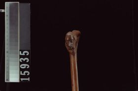 Image representing Cane.