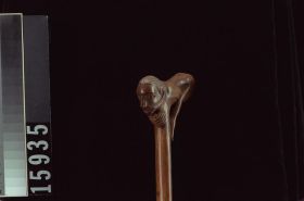 Image representing Cane.