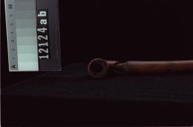 Image representing Bowl; Stem.
