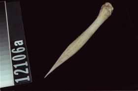 Image representing Awl.