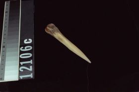 Image representing Awl.