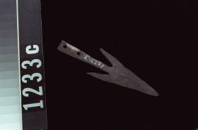 Image representing Harpoon Head.