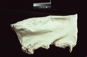 Image representing Prepared Material.