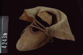 Image representing Moccasin.