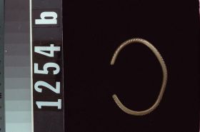 Image representing Bracelet.