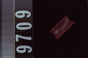 Image representing Labret.