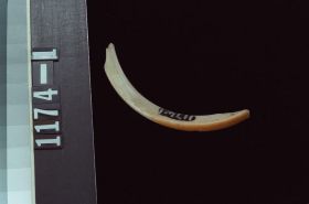 Image representing Game.