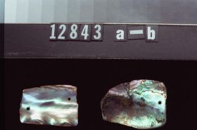 Image representing Ornament.