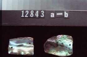 Image representing Ornament.