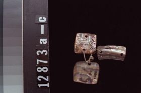 Image representing Abalone.