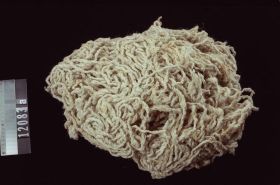 Image representing Yarn.