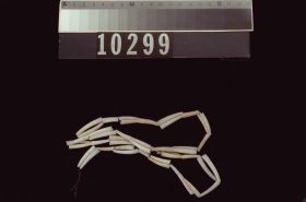 Image representing Necklace.
