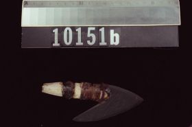 Image representing Harpoon Head.