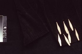 Image representing Regalia.