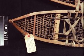 Image representing Snowshoe.