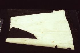 Image representing Garment.