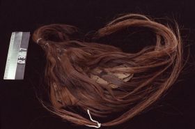 Image representing Wig.