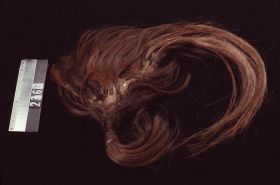 Image representing Wig.