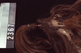 Image representing Wig.