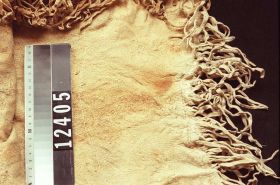 Image representing Dress.