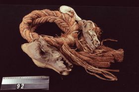 Image representing Ring.