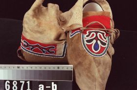 Image representing Moccasin.