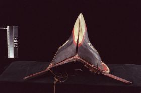 Image representing Mask.