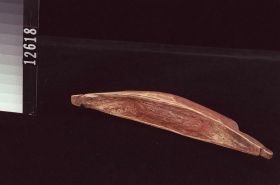 Image representing Canoe, model.