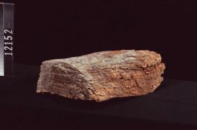 Image representing Raw Material.