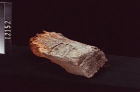 Image representing Raw Material.