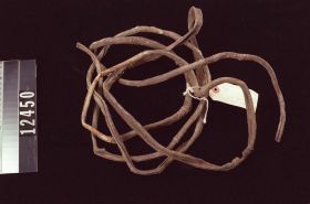 Image representing Rope.